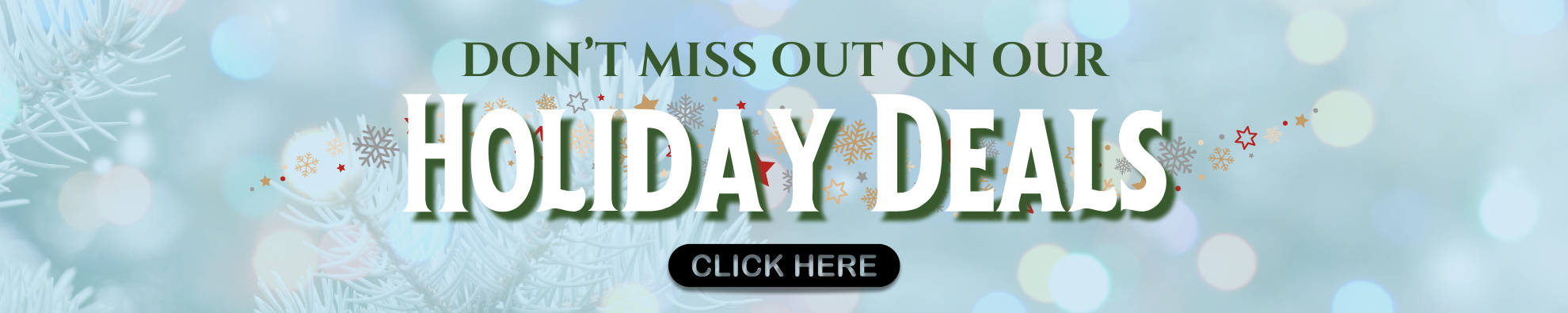 2025 Holiday Deals - Home Page Banner 2025 Holiday Deals - Home Page Banner