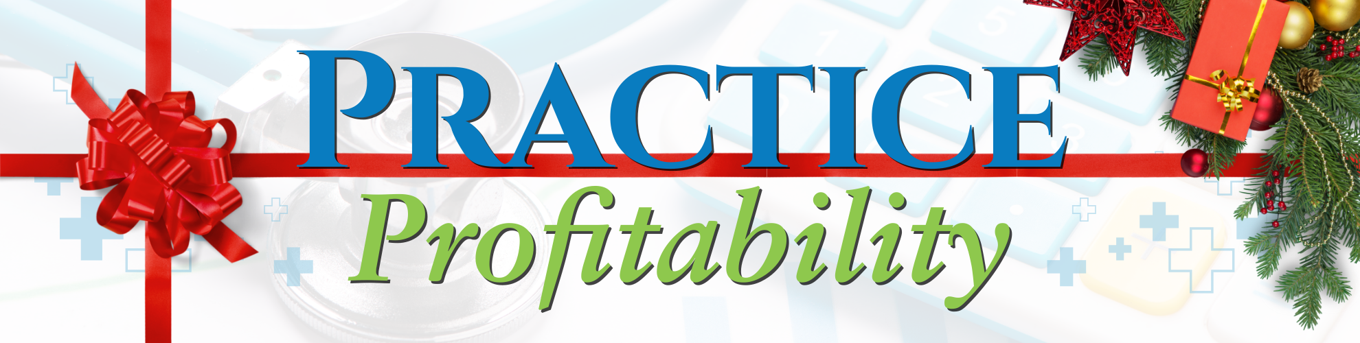 Practice Profitability - xmas