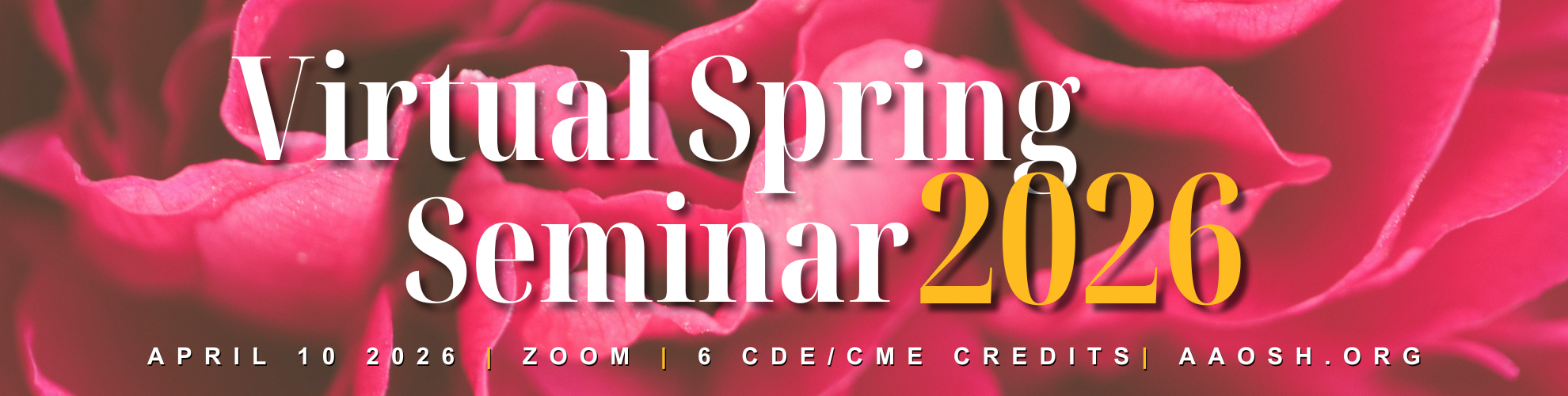 Virtual Spring Seminar 2026 Banner (1)