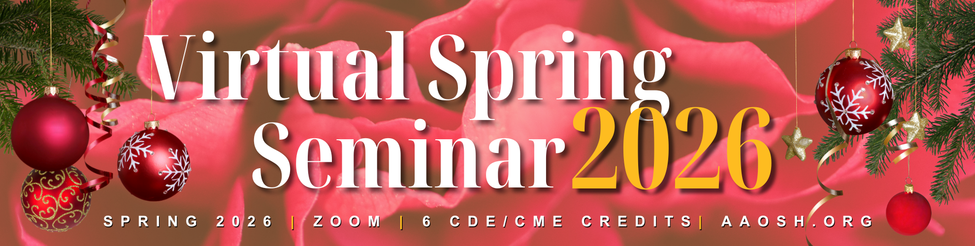 Virtual Spring Seminar 2026 Banner - Xmas sale Virtual Spring Seminar 2026 Banner - Xmas sale