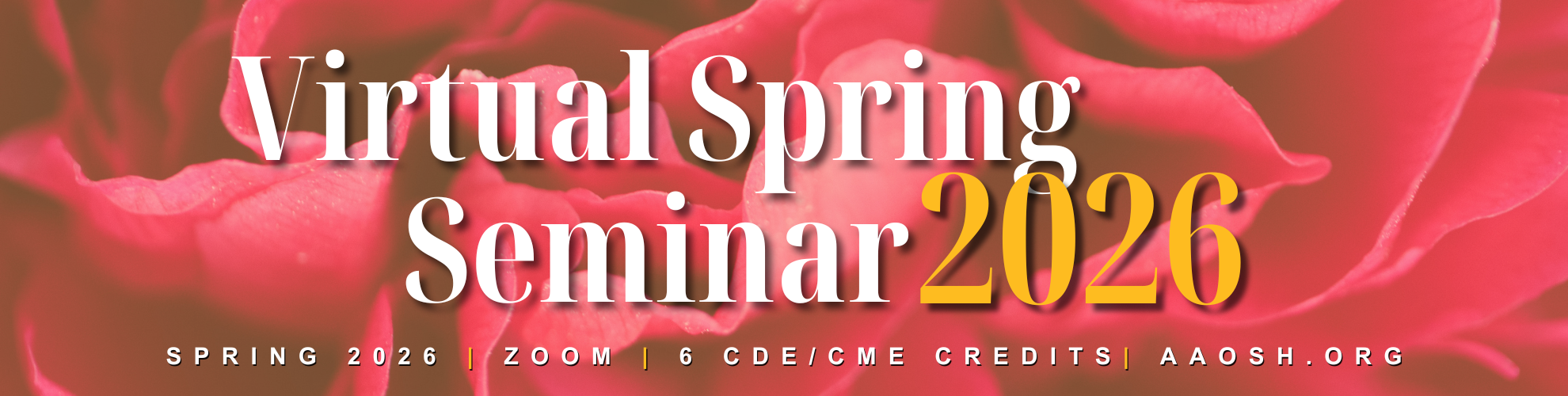 Virtual Spring Seminar 2026 Banner Virtual Spring Seminar 2026 Banner