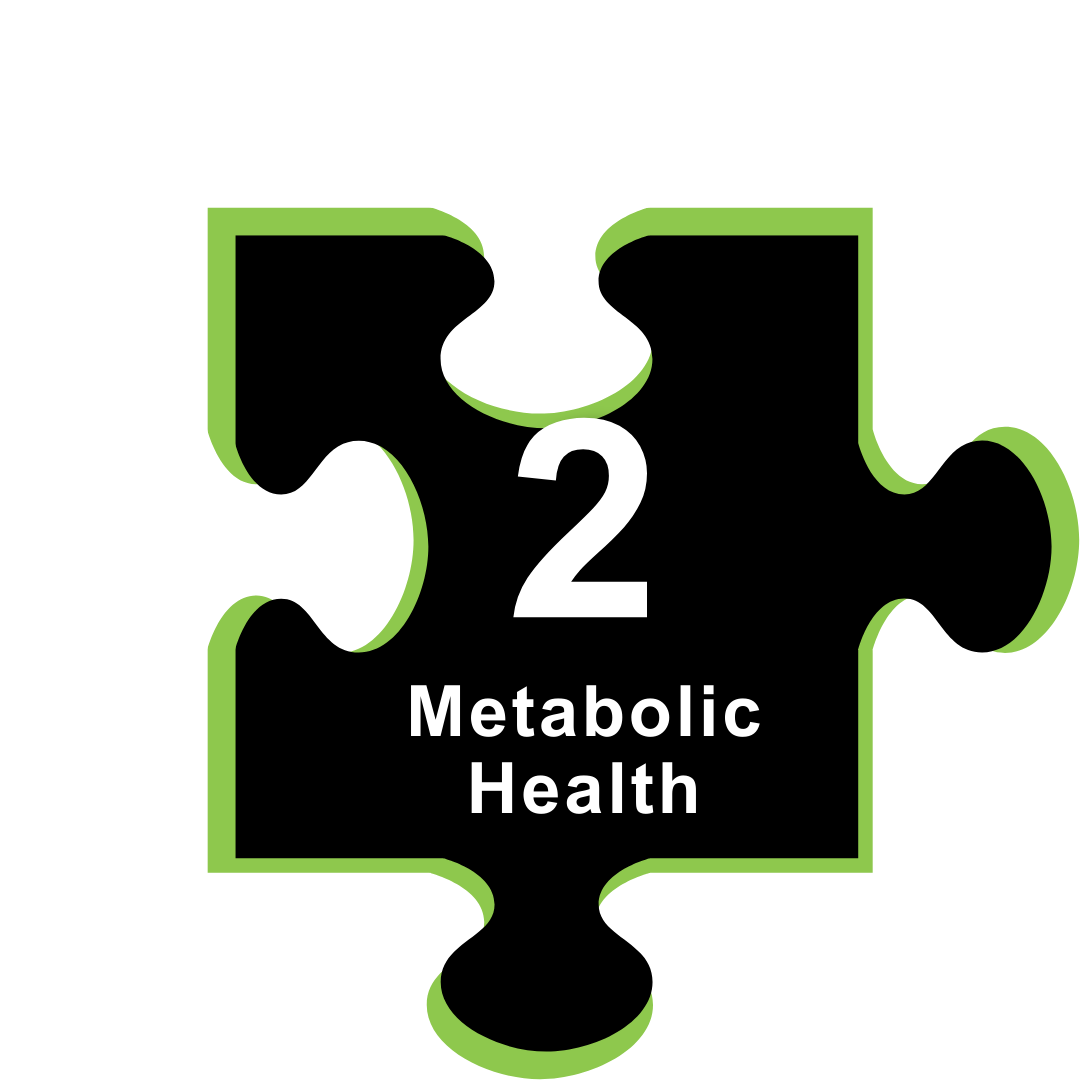 2. Metabolic Health