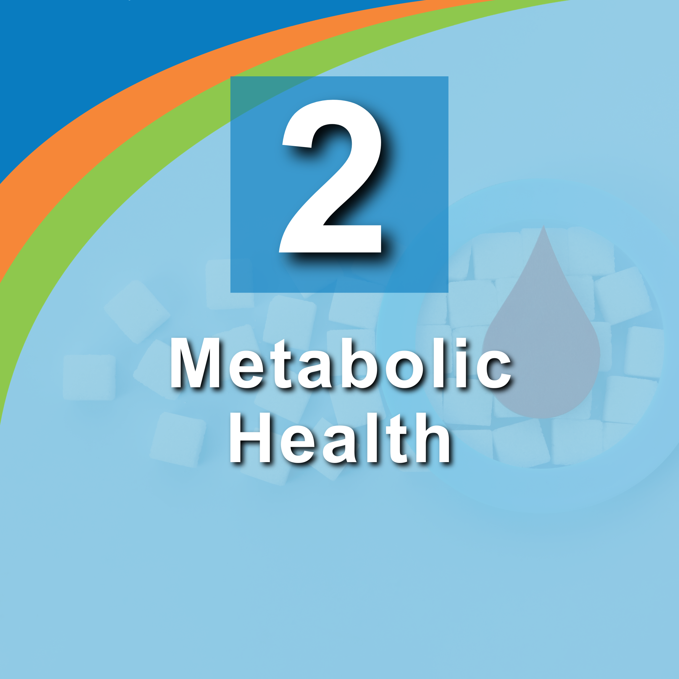 2. Metabolic Health