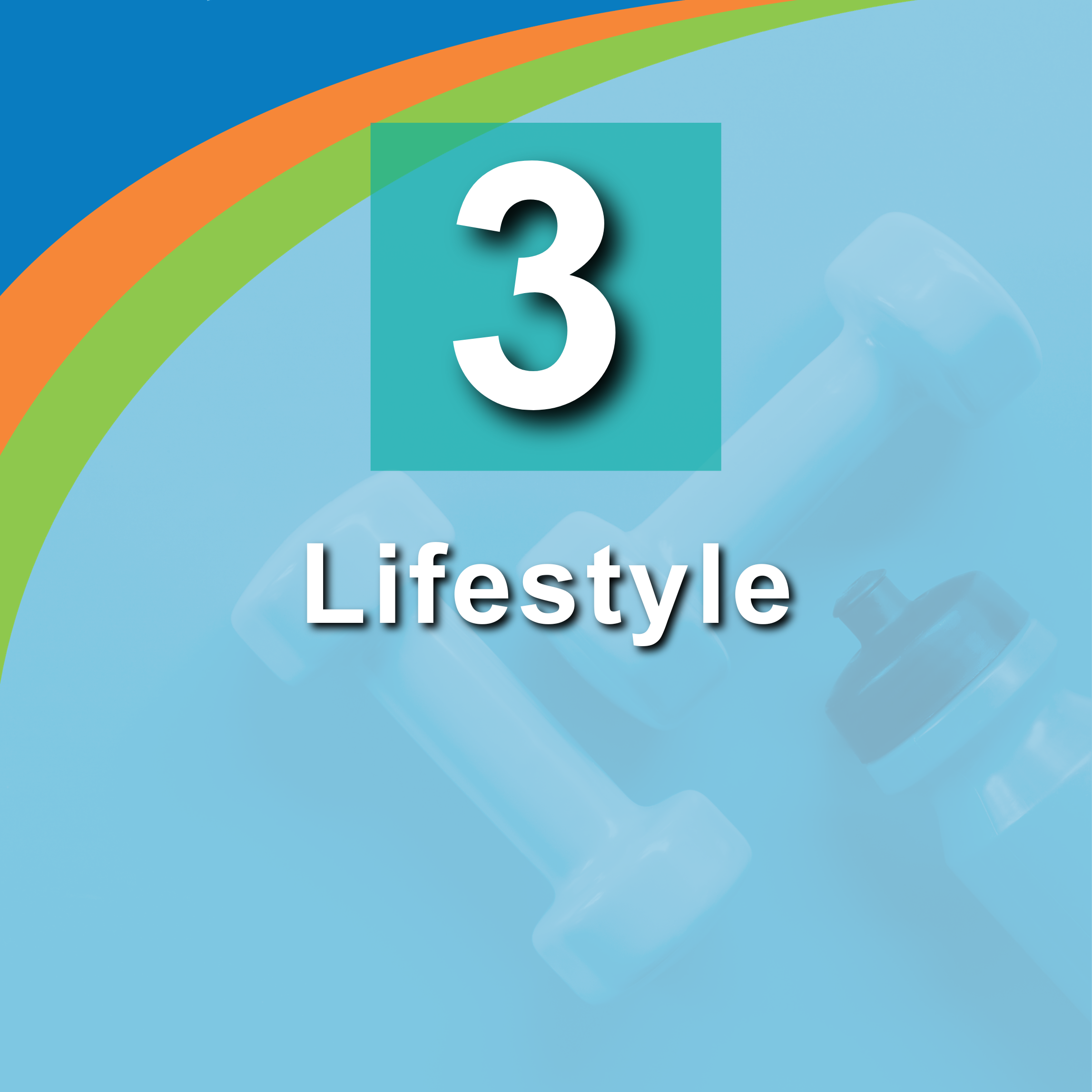 3. Lifestyle