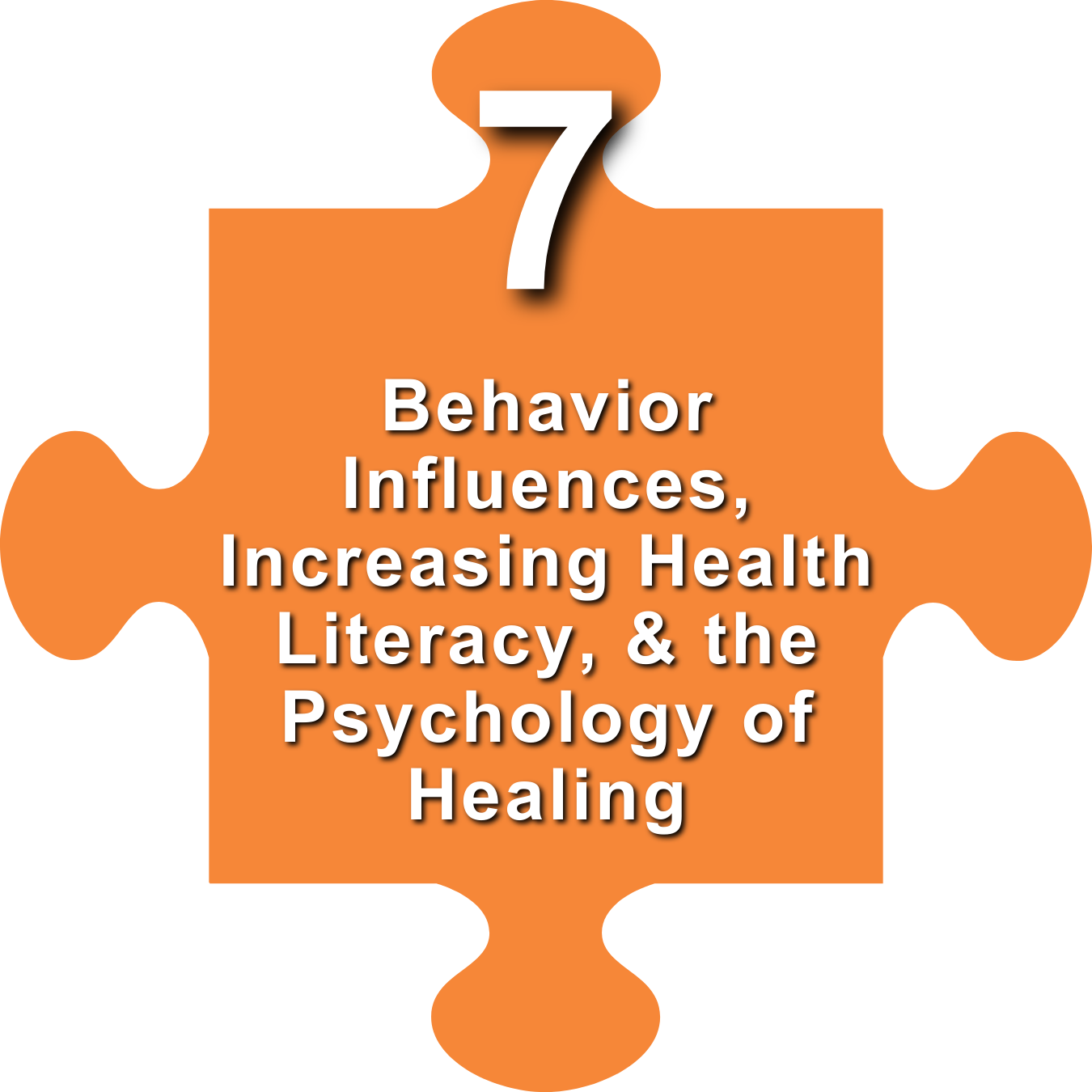 7.  Behavior Influences, Increasing Health Literacy, and the Psychology of Healing