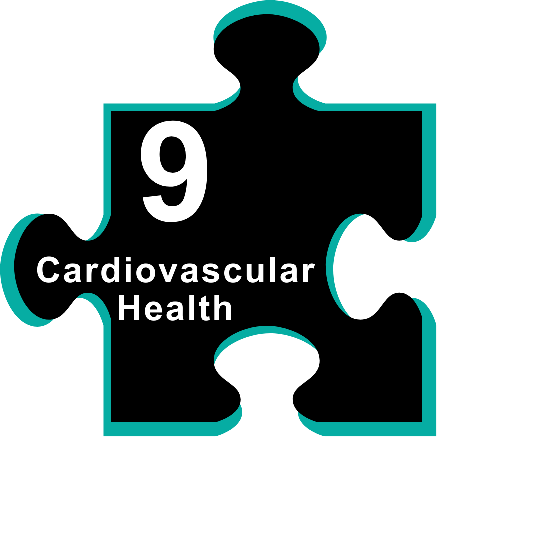 9. Cardiovascular Health