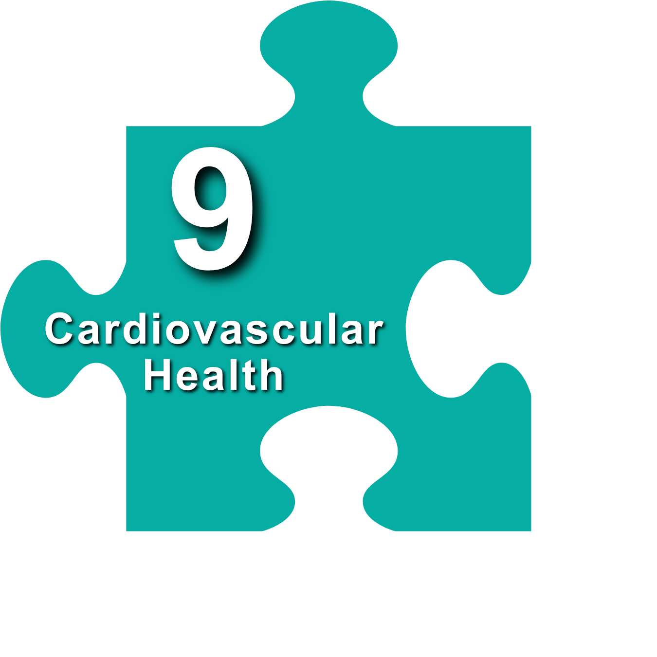 9. Cardiovascular Health