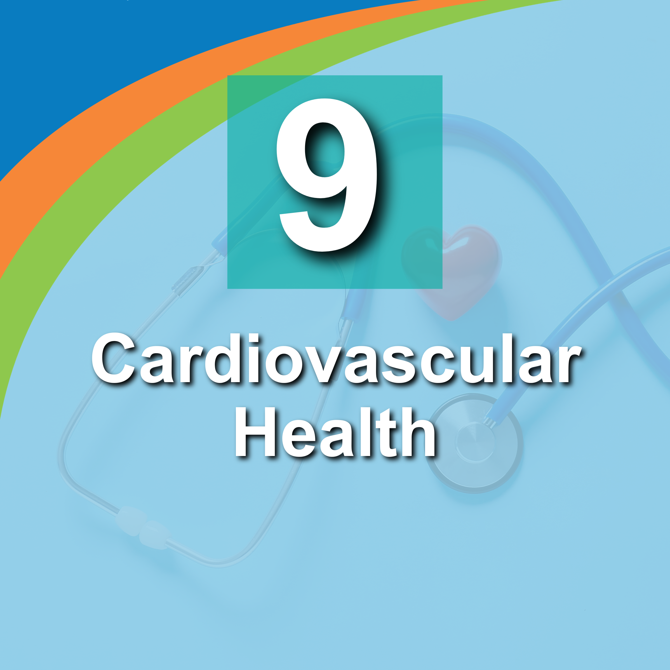 9. Cardiovascular Health