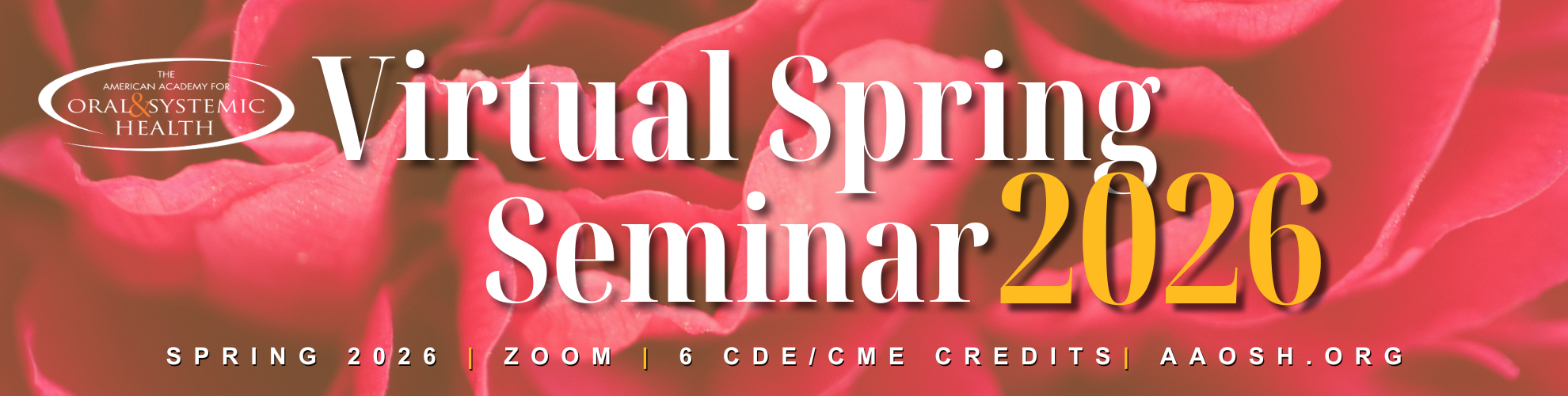 Virtual Spring Seminar 2026